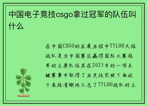 中国电子竞技csgo拿过冠军的队伍叫什么